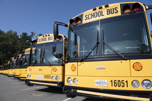 resizedbuses82026.jpg