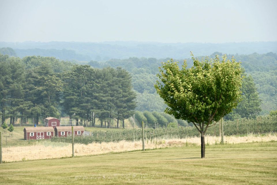 In Case You Missed It.jpg