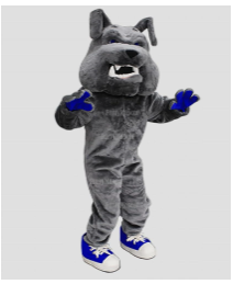 imagev4n6r.png