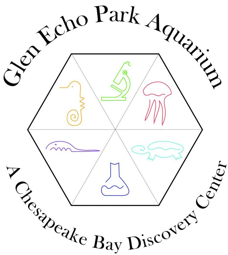 GlenEcho Park Aquarium.jpg