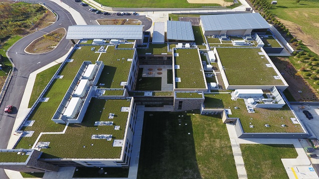 Green Roofs
