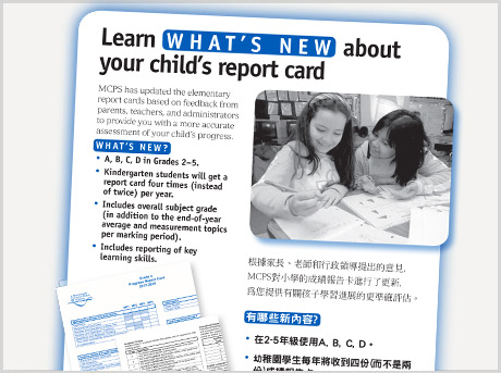 chinese flyer chinese flyer