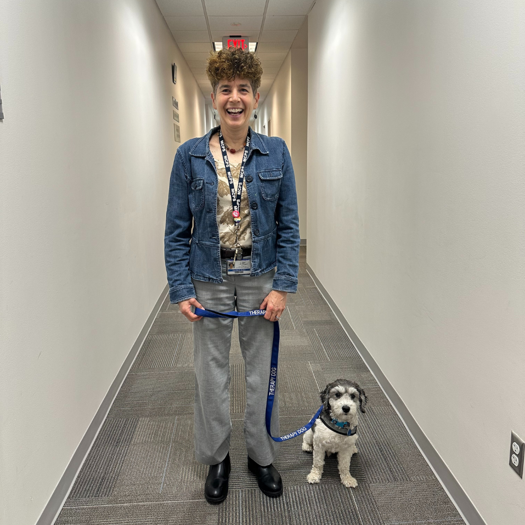 Harriet K Header.png