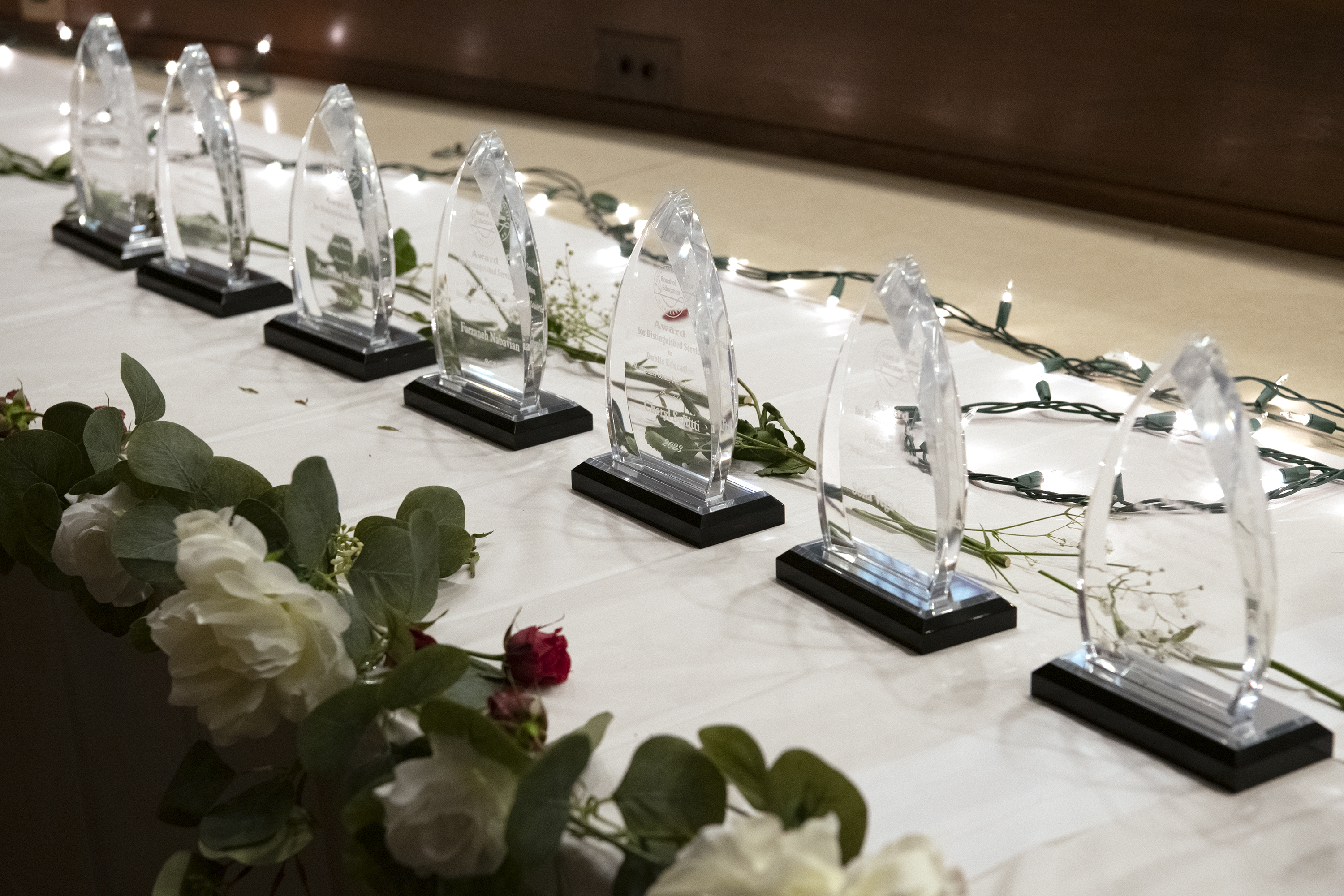 Awards lined up.jpg