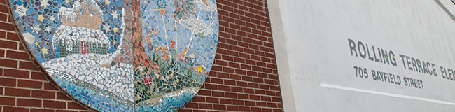 About RollingTerrace ES About RollingTerrace ES
